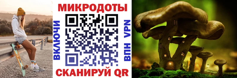 наркотики  Бирск  Галлюциногенные грибы прущие грибы 